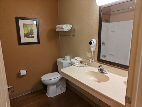 a bathroom with a sink and a toilet and a mirror at Hawthorn Extended Stay by Wyndham DFW Airport North in Irving