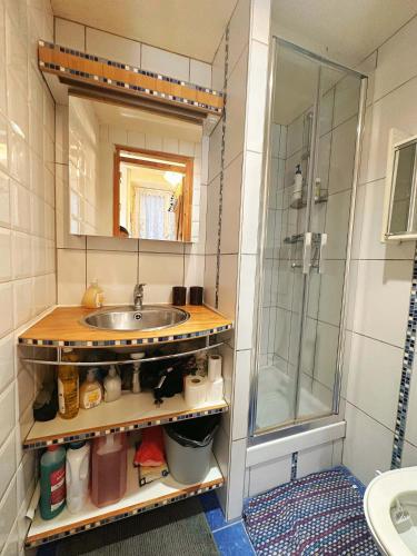 une salle de bain avec un lavabo et une douche dans l'établissement Charenton1 Studio Gare de Lyon, à Paris