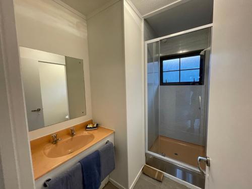 a bathroom with a sink and a shower at Cherry Court Motor Lodge in Whangarei