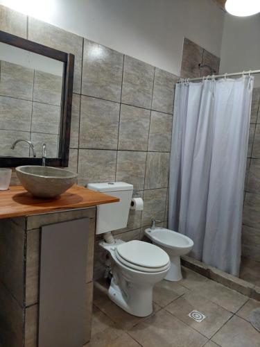 een badkamer met toilet, wastafel en douche bij Cabañas EL AGUARIBAY in Barreal