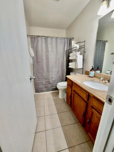 a bathroom with a sink and a toilet and a shower at Marina Vista Condo III in New Bern