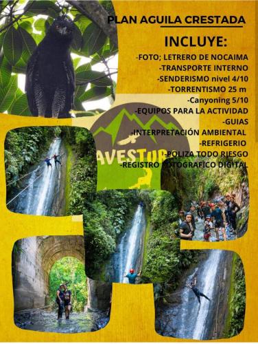 a flyer for an event with a black cat and a waterfall at Glamping eco descanso la vega Nocaima in Nocaima