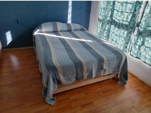 Gallery image of Cuarto individual centro histórico 300bm in San Cristóbal de Las Casas