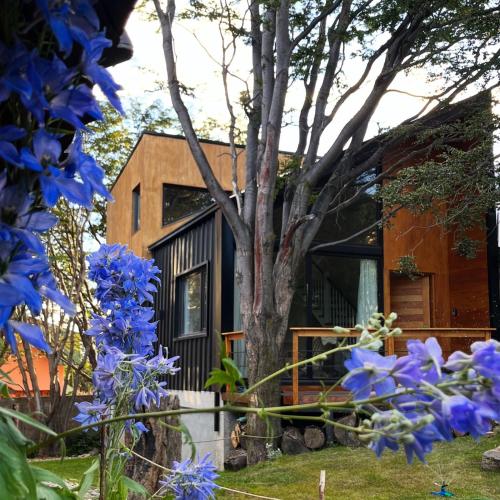 Κήπος έξω από το del Andino Ush loft