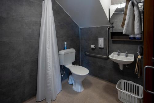 a bathroom with a toilet and a sink at Haast Beach Motel in Haast