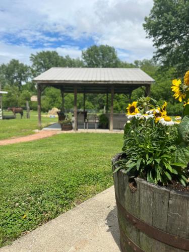 a wooden planter with sunflowers in a park at Scippo Creek Farm in Circleville