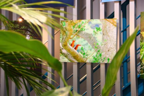Φωτογραφία από το άλμπουμ του cafe&stay notA σε Setouchi