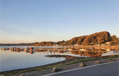 a marina with boats docked on the water at Lovely Home In Haderslev With Wifi in Haderslev