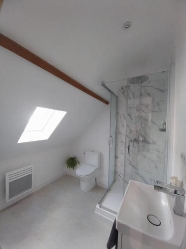 une salle de bain blanche avec des toilettes et un lavabo dans l'établissement Au 26 Calais T1, à Calais