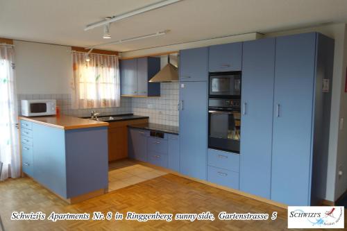 a kitchen with blue cabinets and a stove top oven at Schwizi's Apartments in Ringgenberg