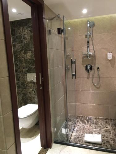 a bathroom with a shower and a toilet at Hôtel Huatian Chinagora in Alfortville