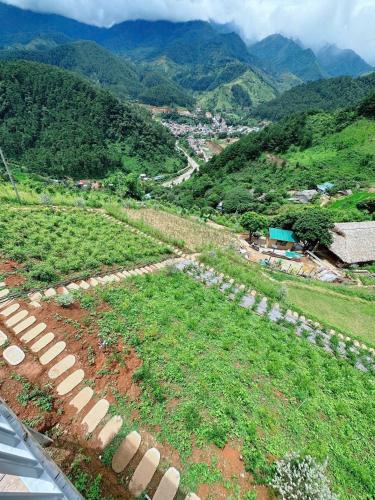 a field of crops with mountains in the background at Mây home Trạm Tấu nhà sàn cộng đồng in Trạm Tấu