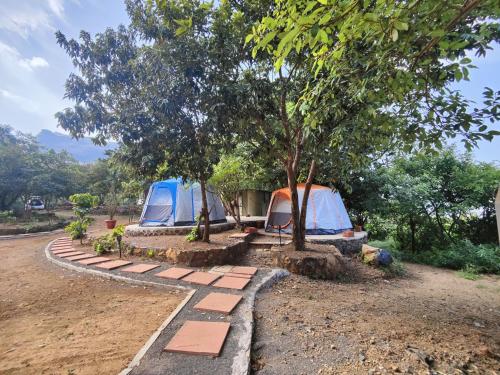 two tents pitched under trees next to a road at Gaia Ekole in Āmbavna