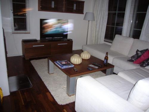 TV a/nebo společenská místnost v ubytování Saimaa Houses