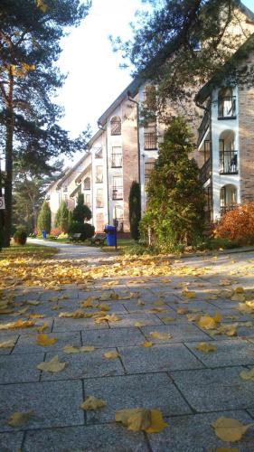 a street with leaves on the ground in front of a building at Ośrodek Wypoczynku i Rekreacji Venus in Mrzeżyno