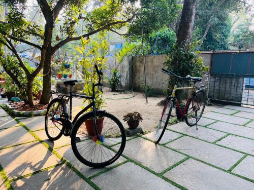 two bikes parked next to each other on a patio at Orchid Home Stay in Cherai Beach