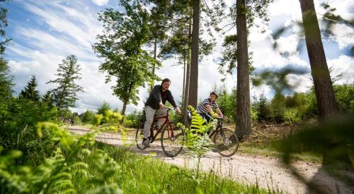 Galería fotográfica de Hotel Birksø en Ry