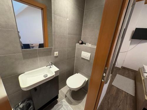 a bathroom with a toilet and a sink and a mirror at Gasthof Knezevic in Leoben