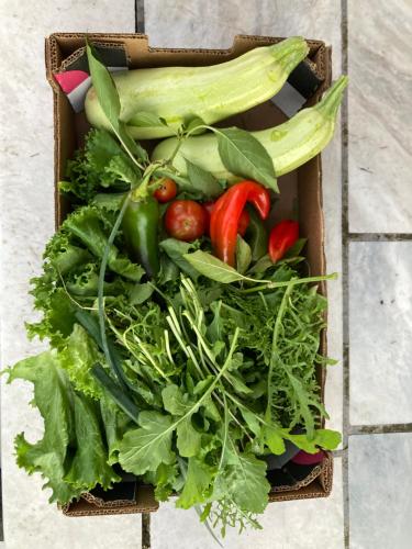 a box full of vegetables sitting on a table at Kokkini Peach Budget in Kokkínion
