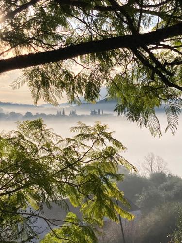 a view of the misty valley from the trees at Kokkini Peach Budget in Kokkínion