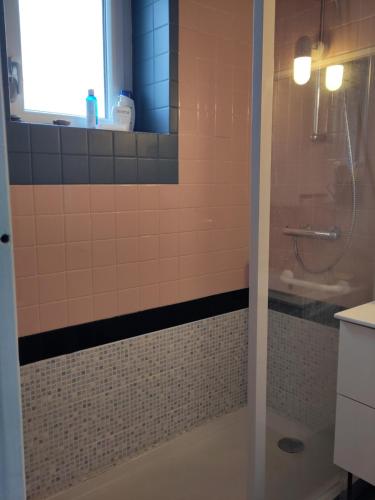 une salle de bain avec douche et lavabo dans l'établissement Maison de pêcheur avec jardin à 100m de la petite mer de Gâvres, à Riantec