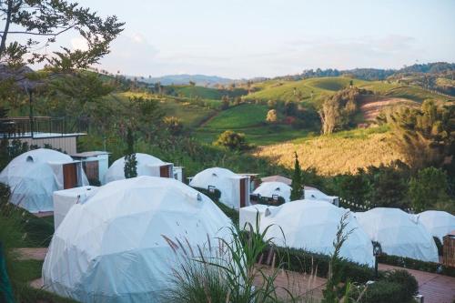a bunch of white tents in a field at Florafreskhaokho in Khao Kho