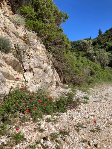 a rocky hill with red flowers on it at Kokkini Peach Budget in Kokkínion