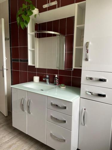une salle de bain blanche avec un lavabo et un miroir dans l'établissement Maison de la forêt, à Auxonne