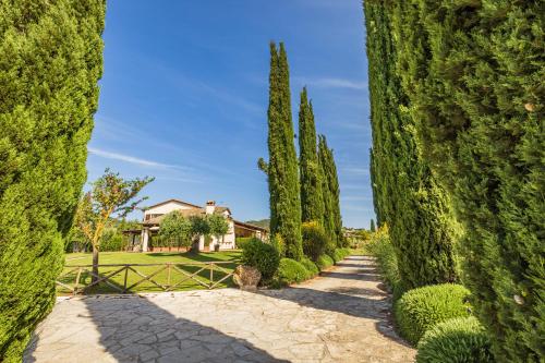 Gallery image of Il casale degli olivi in Capalbio