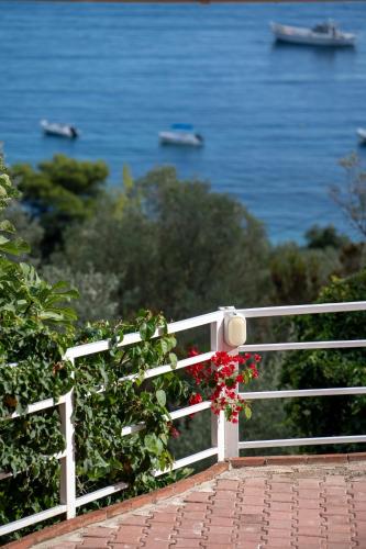 a white fence with a red flower on it at La Luna Hotel in Troulos