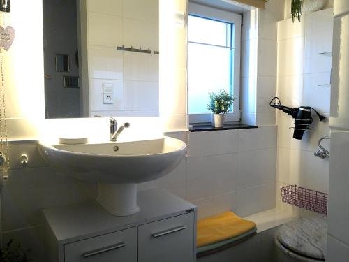 a bathroom with a sink and a mirror and a shower at Ferienwohnungen/Ferienzimmer Seidel in Zingst