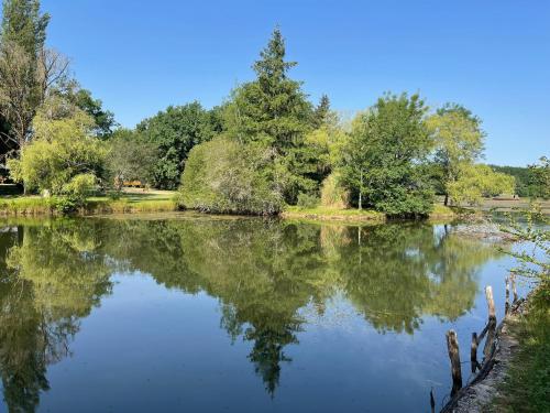 a view of a lake with trees in the background at Les Cabanes de Lara in Ménesplet