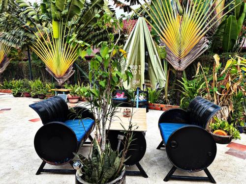Κήπος έξω από το Coconut Village Guesthouse and Bungalow