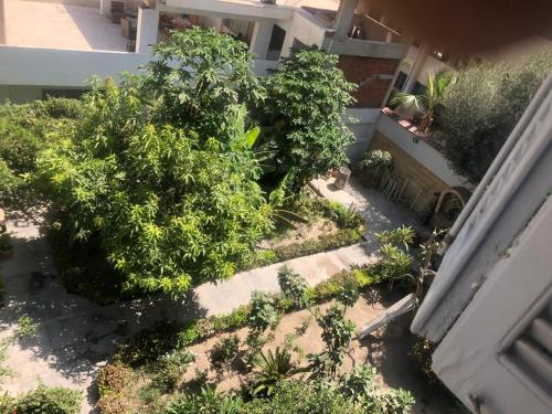 Κήπος έξω από το Saint Rita Guest House Alex
