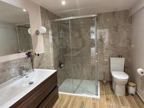 a bathroom with a shower and a sink and a toilet at Le Chalet - maison avec jardin et parking in Lourdes