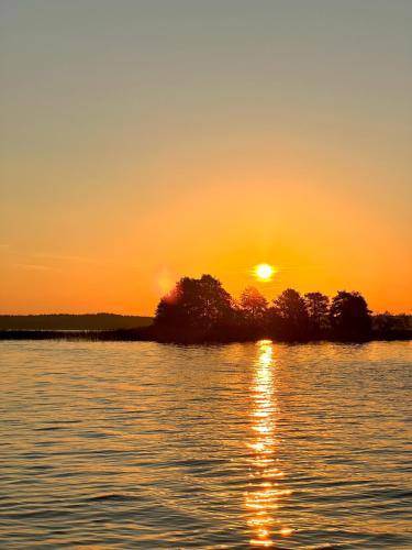 a sunset over a body of water with trees at Yachthouse in Plateliai