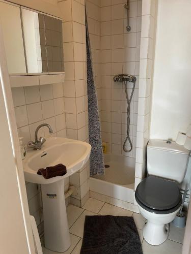 une salle de bain avec toilettes, lavabo et douche dans l'établissement Charmant studio départ tardif, à Orléans