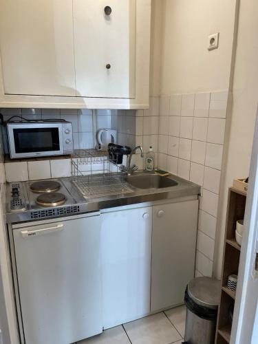 une petite cuisine avec un évier et un micro-ondes dans l'établissement Charmant studio départ tardif, à Orléans