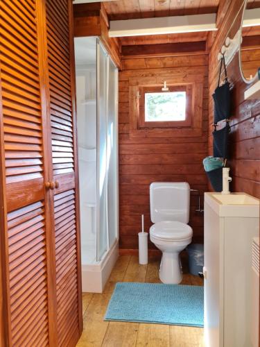 a bathroom with a toilet and a window at Cozy tiny house with swimming pool & outdoor sauna in Waasmunster