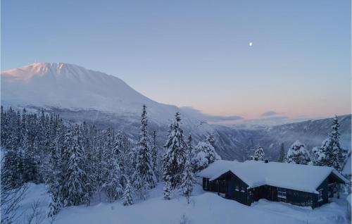 a cabin in the snow with a mountain in the background at Stunning Home In Rjukan With Wifi in Rjukan