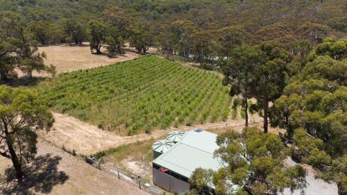 an aerial view of a vineyard with a farm building at Funday Farm Adelaide Hills in Norton Summit