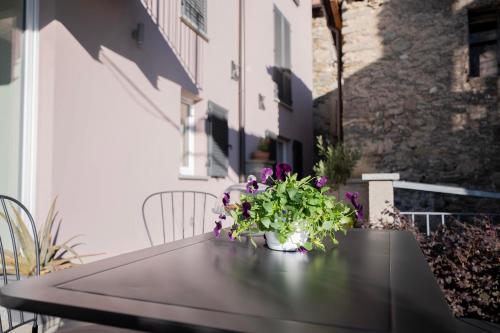 a vase of purple flowers sitting on a table at Delfina Home giardino 013239-CNI-00130 in Vercana