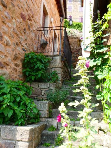 Κήπος έξω από το L 'oustal de Sophie en Aveyron, à Montjaux