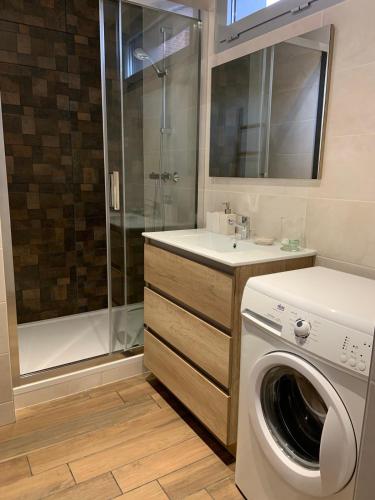 La salle de bains est pourvue d'un lave-linge et d'une douche. dans l'établissement Terrasse vue cathédrale et beffroi hyper centre, à Amiens