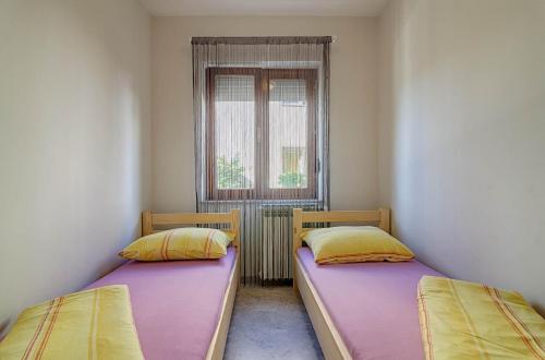 Apartman 6