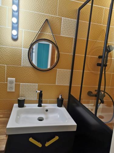 une salle de bain avec un lavabo et un miroir dans l'établissement Capbreton plage centrale Vue Mer Appart Parking, à Capbreton