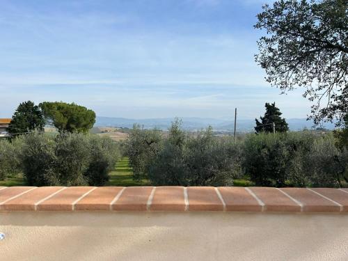 a brick wall with bushes and trees in the background at Agriturismo Giorgini in Marsciano