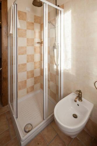 a bathroom with a shower and a toilet and a sink at La Casa Delle Rondini in Roncoferraro