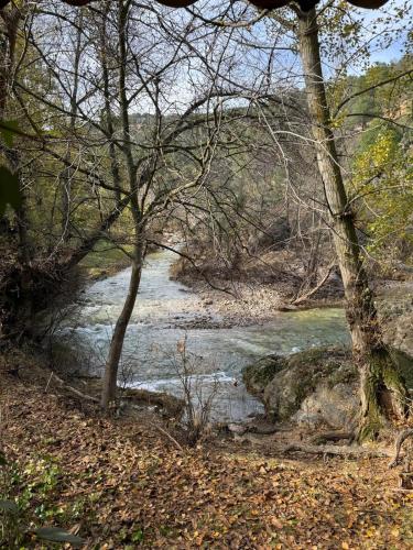 a river through a wooded area with trees at El Molí Nou - Rural flats in Peñarroya de Tastavins