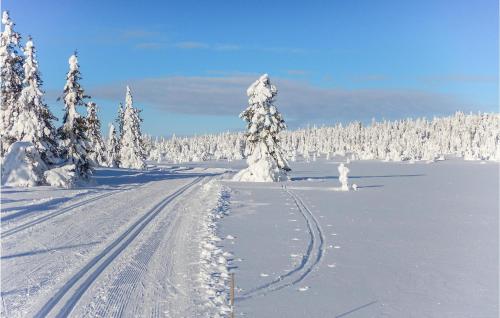 Three-Bedroom Holiday Home In Sjusjoen ในช่วงฤดูหนาว